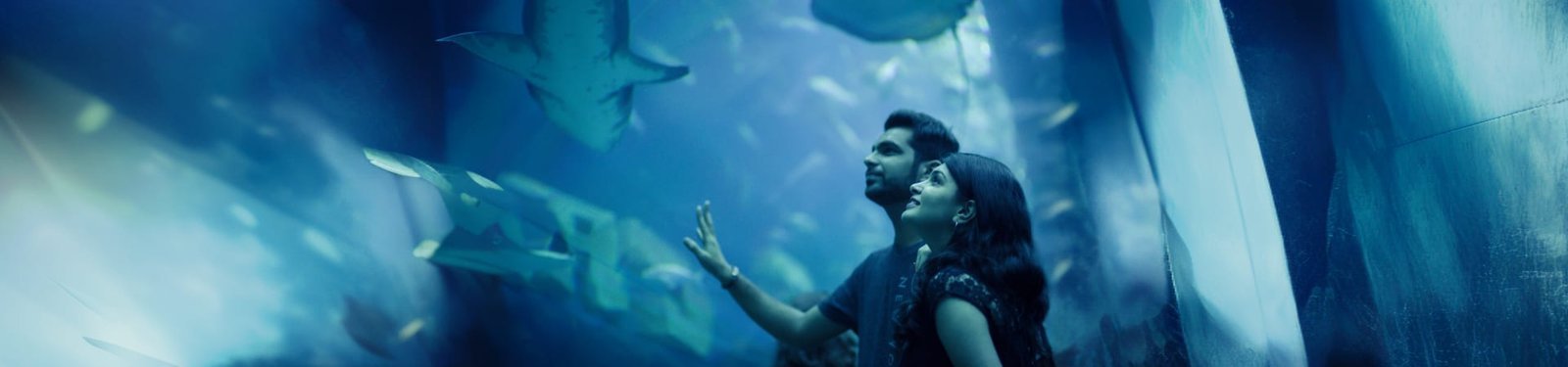Dubai Aquarium And Underwater Zoo