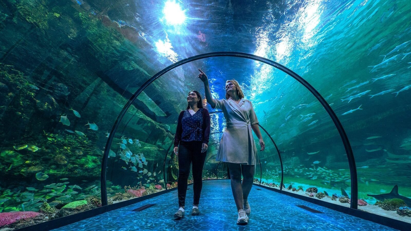 The National Aquarium Abu Dhabi
