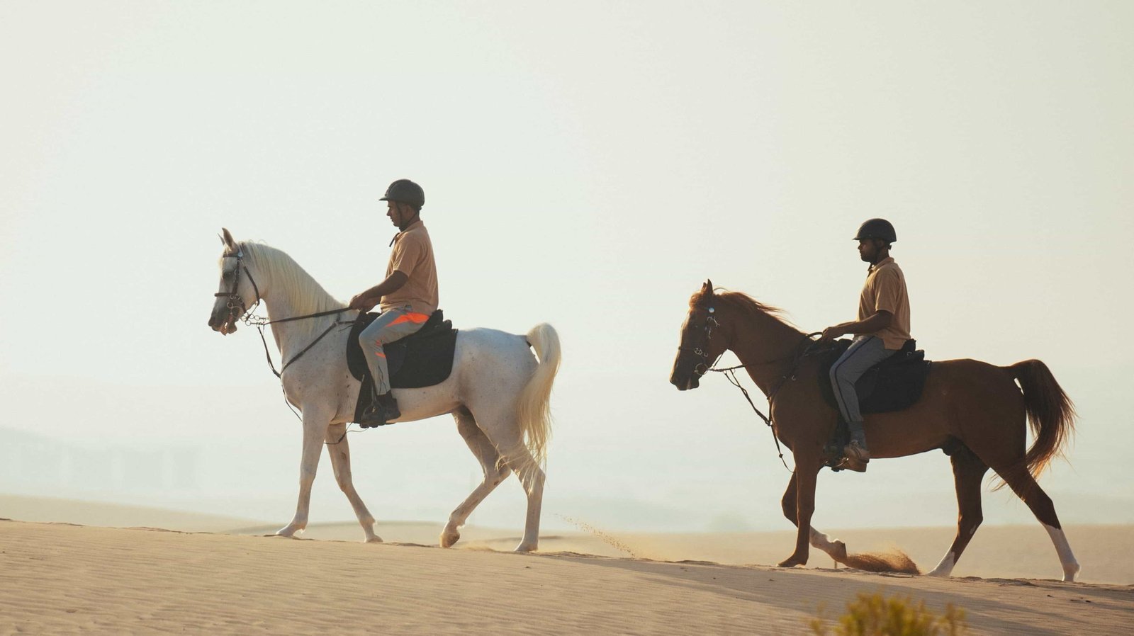 Horse Riding At Abu Dhabi