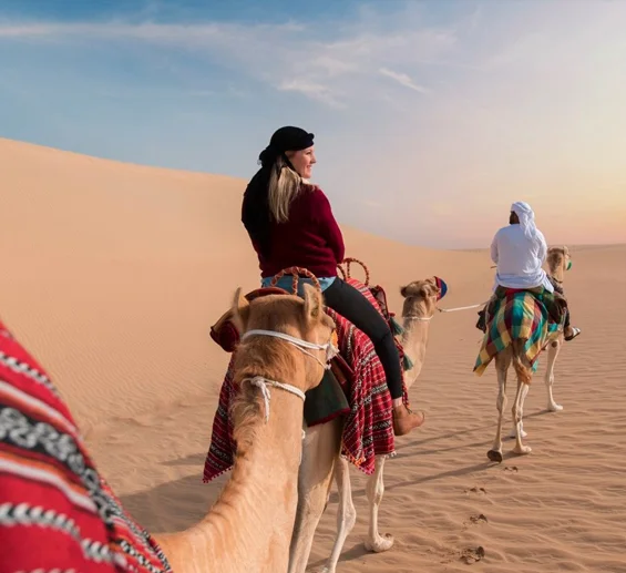Camel Trekking In Abu Dhabi