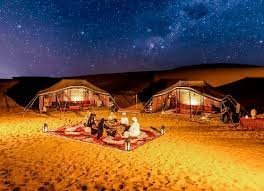 Overnight Safari