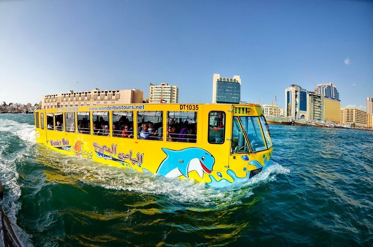 Wonder Bus Sea And Land Adventure Tours